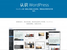 WordPress.jpg