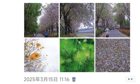 Screenshot_2025-03-17-09-10-39-582_com_tencent_mm.jpg
