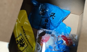 IMG_20250528_100527.jpg
