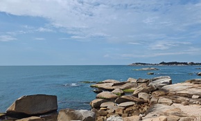 IMG_20250524_101400.jpg