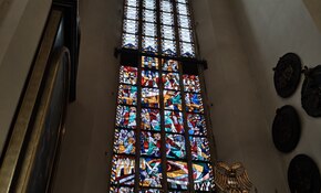 IMG_20260913_163956.jpg