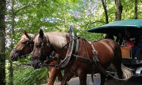 IMG_20260914_130354.jpg