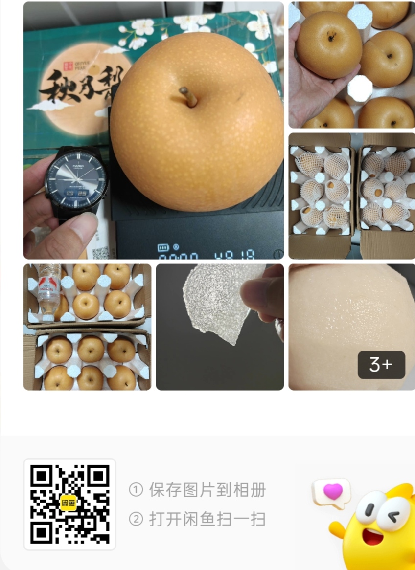 微信图片_20260910113909_373_2.jpg
