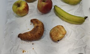 IMG_20260907_092715.jpg