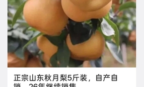 微信图片_20260910113909_372_2.jpg