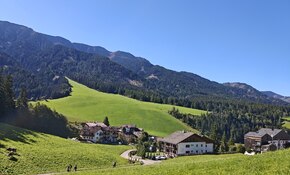 IMG_20260915_113819.jpg