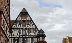 IMG_20260913_114946.jpg