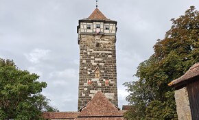 IMG_20260913_114319.jpg