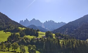 IMG_20260915_114354.jpg