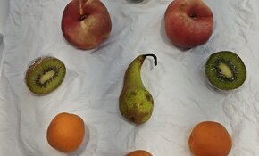 IMG_20260908_092054.jpg