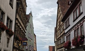 IMG_20260913_114937.jpg
