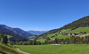 IMG_20260915_120518.jpg